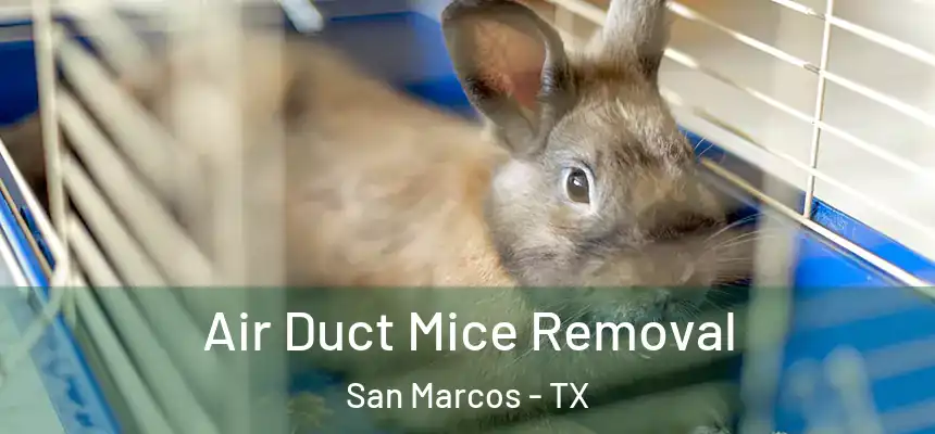  Air Duct Mice Removal San Marcos - TX