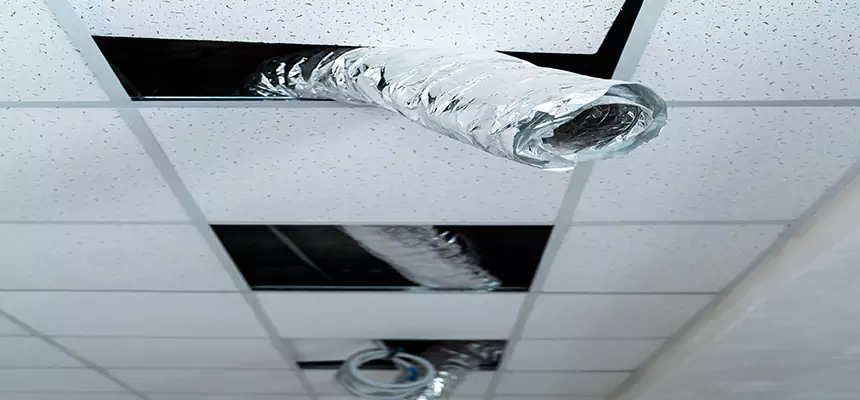 Affordable HVAC Sanitizing After Pest Removal in San Marcos