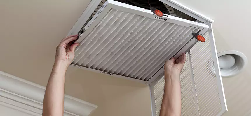 Our Insect Removal from Air Ducts Services in San Marcos, TX