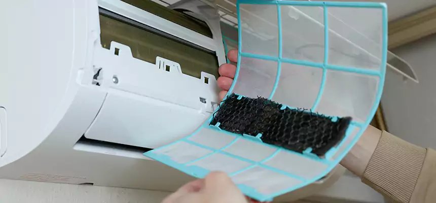 Gentle Ductwork Odor-Control Pet Dander Duct Cleaning in San Marcos, TX