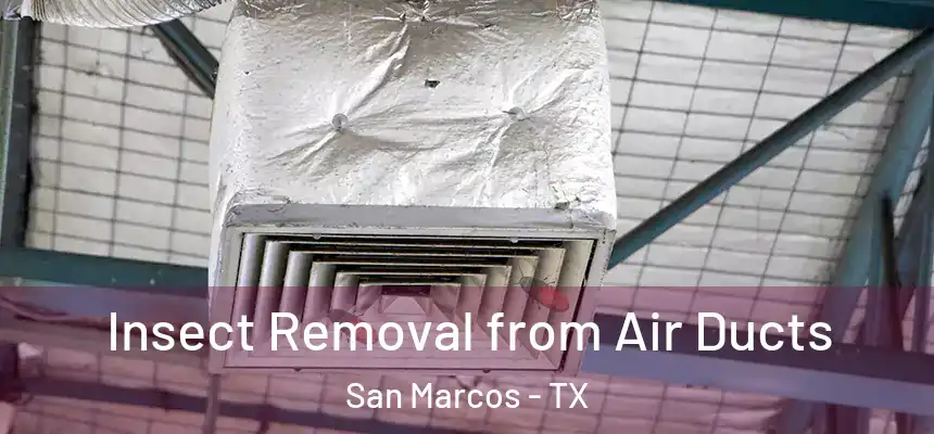  Insect Removal from Air Ducts San Marcos - TX