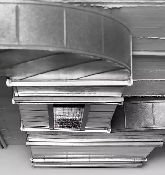 Professional Air Duct Pet Hair Removal in San Marcos, TX