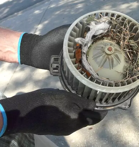 About Air Duct Rat Removal in San Marcos, TX