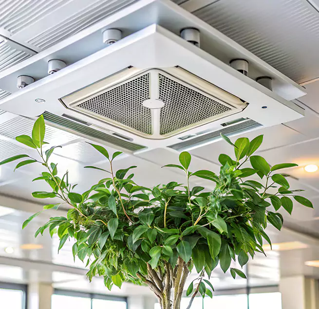 Why Homeowners & Businesses Trust Us in San Marcos, TX?