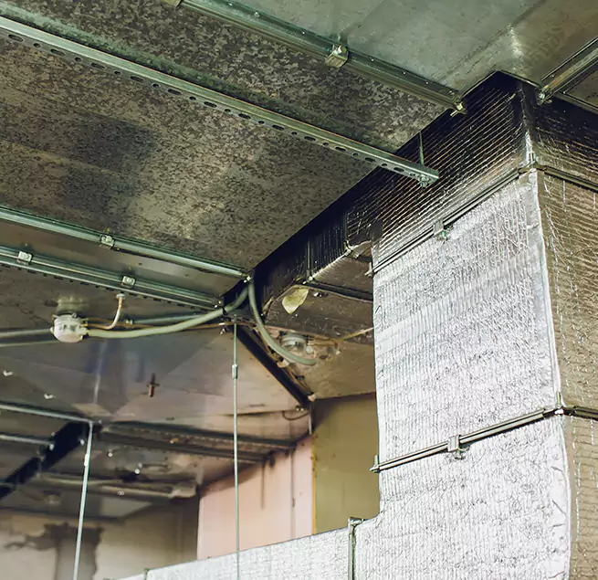 Why Homeowners & Businesses Trust Us in San Marcos, TX?